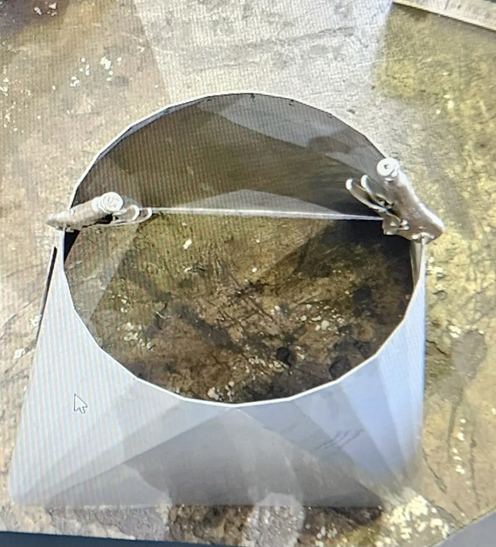 A cat is standing in the middle of an open metal bowl.